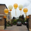 Buzz Events - Balloon D�cor 9 image